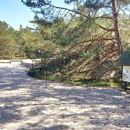 2 Bedroom Gorgeous In - Ppl971 Wytowno