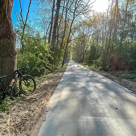 Hébergement de vacances 2 Bedroom Gorgeous In - Ppl971